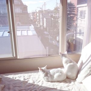 女人自慰❌挤奶羞
